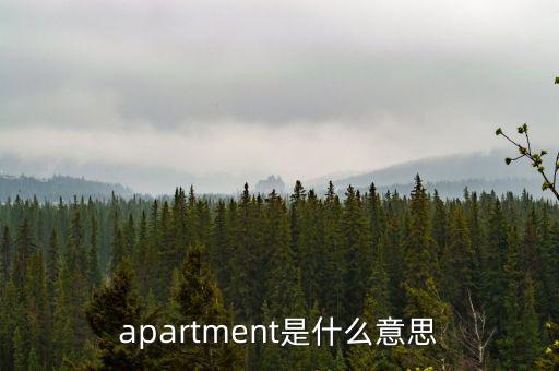 apartment是什么意思