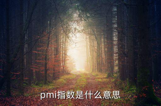 pmi指數(shù)是什么意思