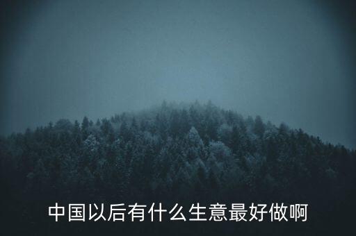 中國以后有什么生意最好做啊