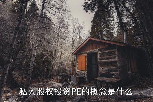 pe投資是什么，pe投資是什么意思