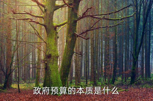 政府預(yù)算的本質(zhì)是什么