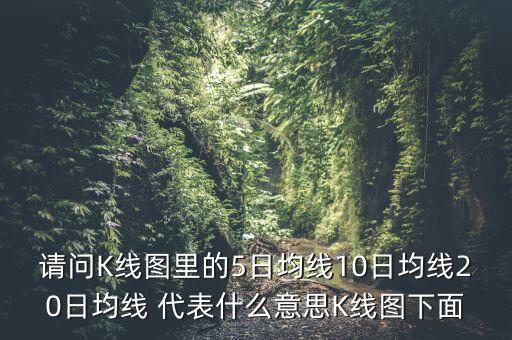 請(qǐng)問K線圖里的5日均線10日均線20日均線 代表什么意思K線圖下面