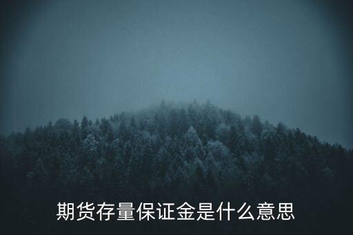 存量資金是什么意思，期貨存量保證金是什么意思