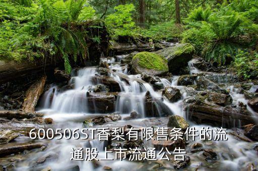 香梨什么時候上市，600506ST香梨有限售條件的流通股上市流通公告