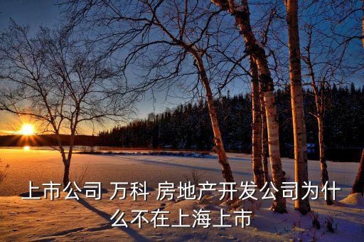 上市公司 萬(wàn)科 房地產(chǎn)開發(fā)公司為什么不在上海上市