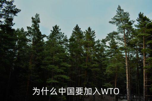 為什么中國(guó)要加入WTO