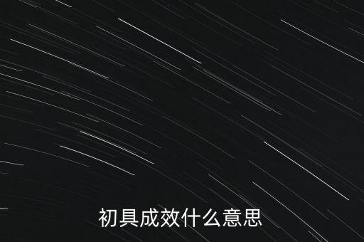 初具成效什么意思