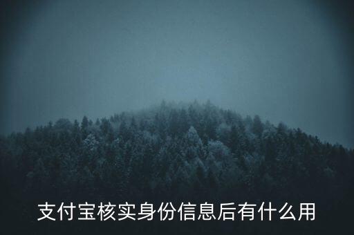 支付寶證件審核有什么用，提交支付寶證件審核有什么用