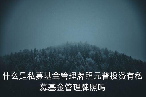 什么是私募基金管理牌照元普投資有私募基金管理牌照嗎