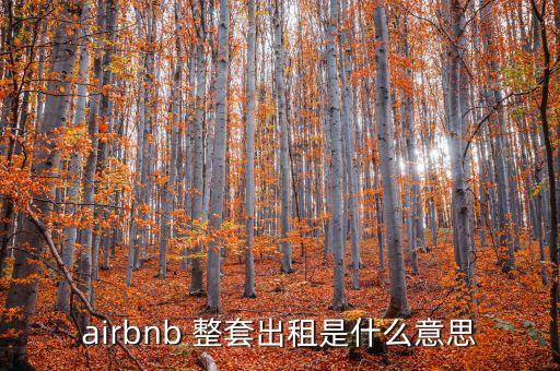 airbnb 整套出租是什么意思