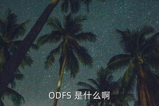 ODFS 是什么啊