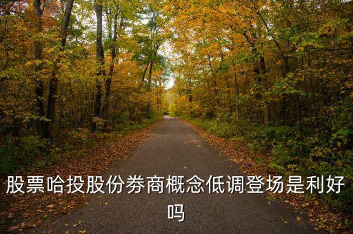 蘭生股份是什么概念，股票哈投股份劵商概念低調(diào)登場(chǎng)是利好嗎