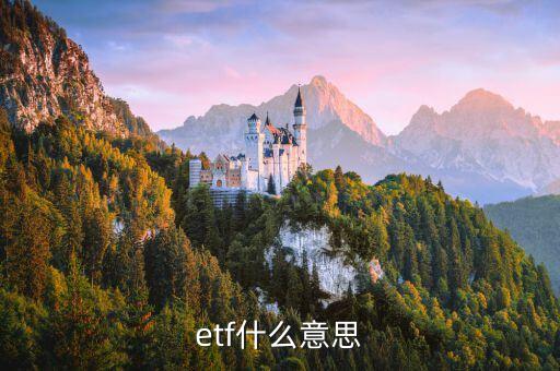 基金的etf是什么意思，ETF具體指什么