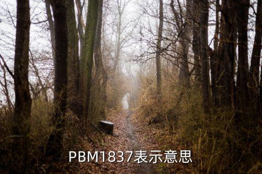 PBM1837表示意思