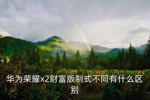 華為榮耀x2財富版制式不同有什么區(qū)別