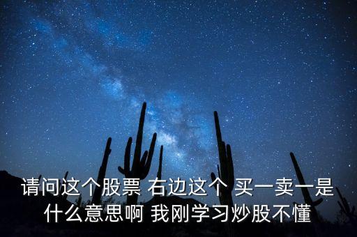 請問這個股票 右邊這個 買一賣一是什么意思啊 我剛學習炒股不懂