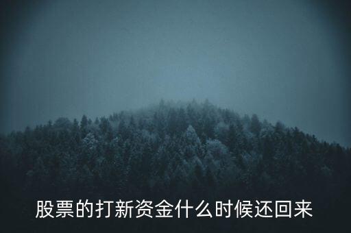 股票的打新資金什么時候還回來