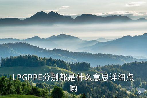 LPGPPE分別都是什么意思詳細點喲