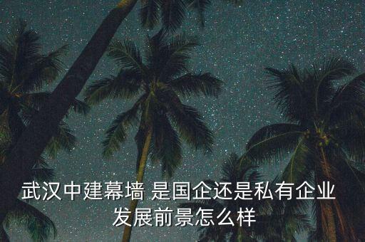 武漢中建幕墻 是國(guó)企還是私有企業(yè)  發(fā)展前景怎么樣