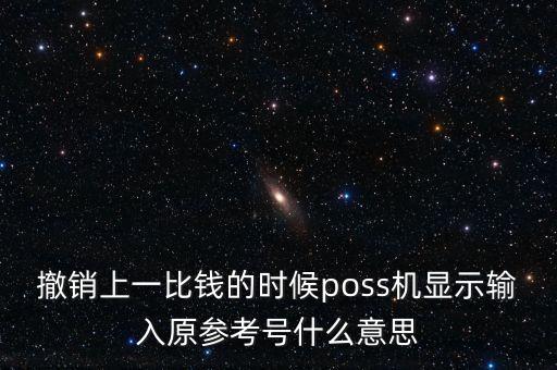 撤銷上一比錢的時候poss機(jī)顯示輸入原參考號什么意思