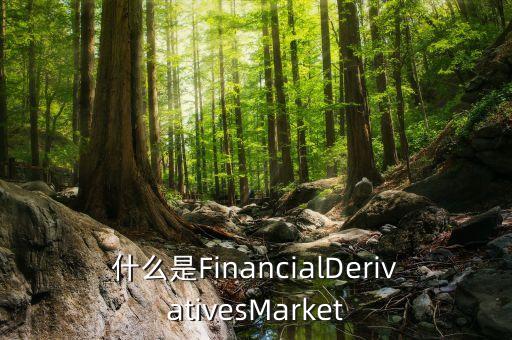 什么是FinancialDerivativesMarket