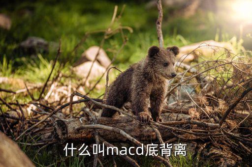 什么叫macd底背離