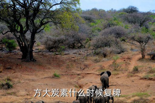 方大炭素為什么停牌，方大炭素什么時(shí)候復(fù)牌