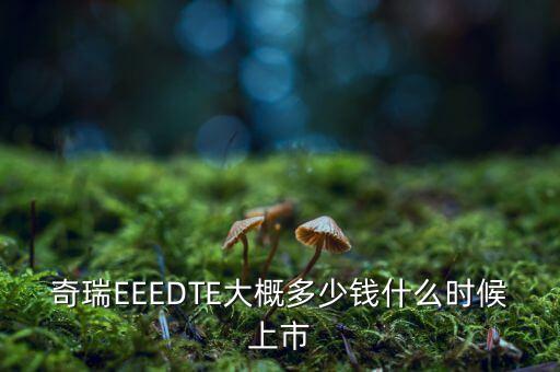 奇瑞EEEDTE大概多少錢(qián)什么時(shí)候上市