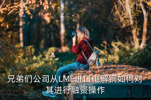 兄弟們公司從LME進(jìn)口電解銅如何對其進(jìn)行融資操作