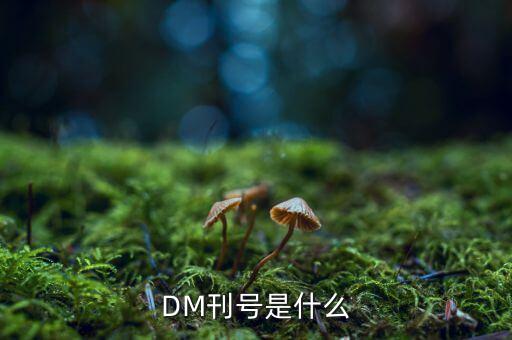 期權(quán)里的dm是什么，DM刊號是什么