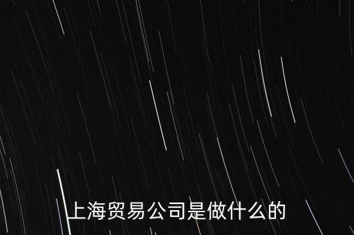 上海貿(mào)易公司是做什么的