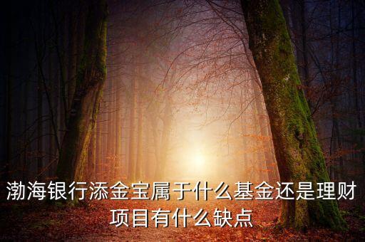 渤海銀行添金寶屬于什么基金還是理財項目有什么缺點(diǎn)