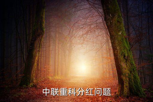 中聯(lián)重科分紅問題