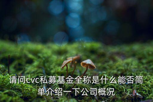 cvc集團還有什么投資，著名私募基金有哪些分別是哪家公司發(fā)行的