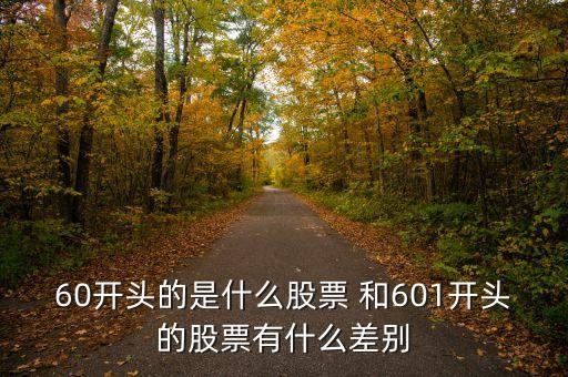 60開頭的是什么股票，60打頭的股票是什么意思