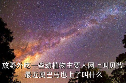 和奧巴馬一起野外求生的人叫什么名字，放野外吃一些動植物主要人網(wǎng)上叫貝爺 最近奧巴馬也上了叫什么