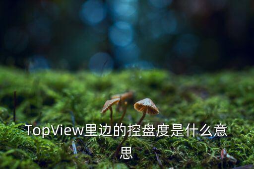 TopView里邊的控盤度是什么意思