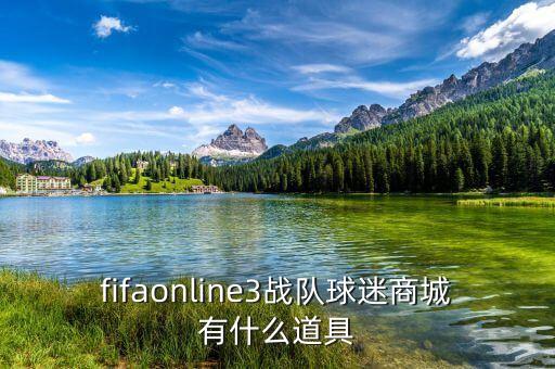 fifaonline3戰(zhàn)隊(duì)球迷商城有什么道具