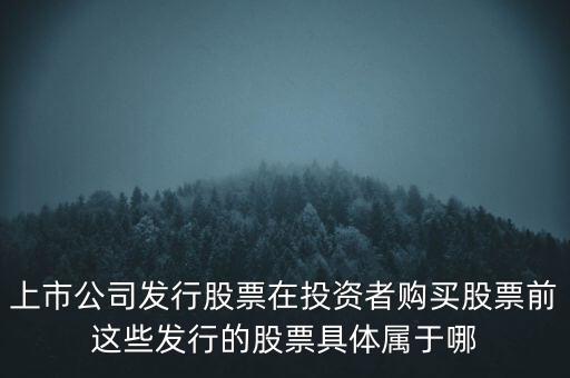 上市公司發(fā)行股票在投資者購買股票前這些發(fā)行的股票具體屬于哪