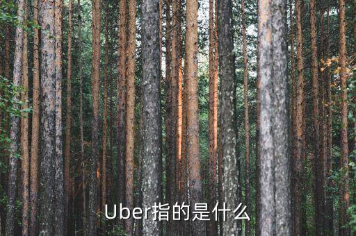 Uber指的是什么