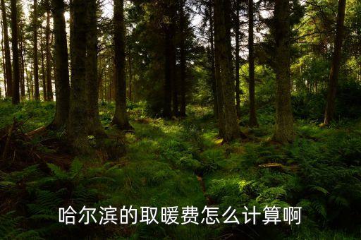 非居民用熱是什么意思，暖氣費(fèi)居民安23一平非居民按34一平什么意思