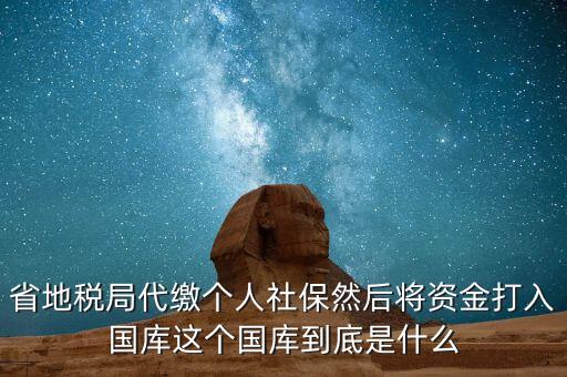 省地稅局代繳個人社保然后將資金打入國庫這個國庫到底是什么