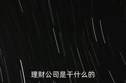 理財(cái)公司是干什么的