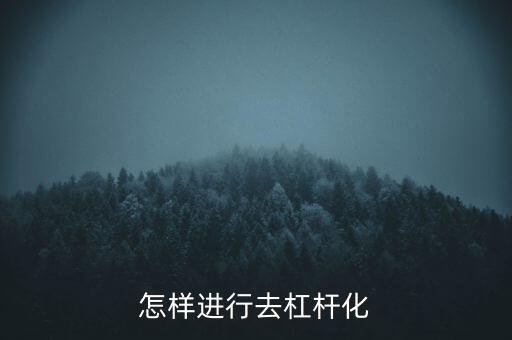 怎樣進(jìn)行去杠桿化