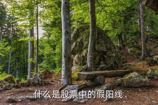 收假陽(yáng)線是什么意思，什么是股票中的假陽(yáng)線