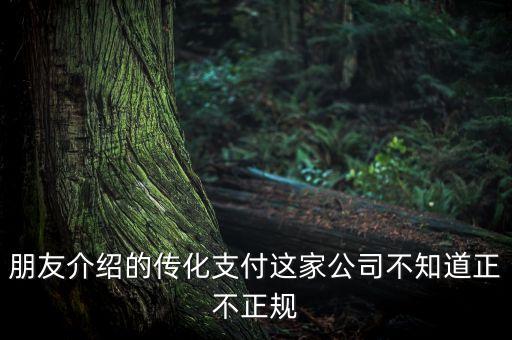 朋友介紹的傳化支付這家公司不知道正不正規(guī)