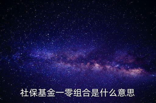 社?；鸶鞣N組合什么意思，什么是全國社保基金一零八組合