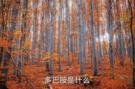 高經(jīng)是什么，多巴胺是什么