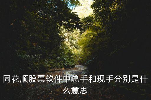 同花順股票軟件中總手和現手分別是什么意思