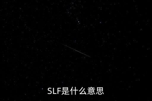 SLF是什么意思